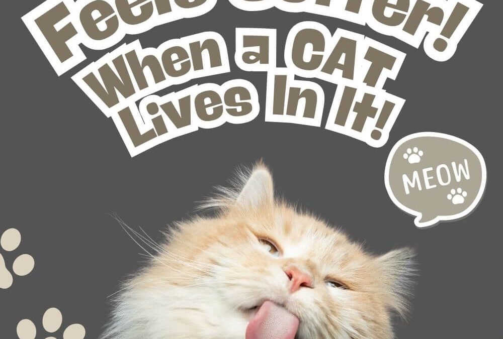 25 Cat Lover Quotes That Capture the Love, Chaos & Magic of Cats