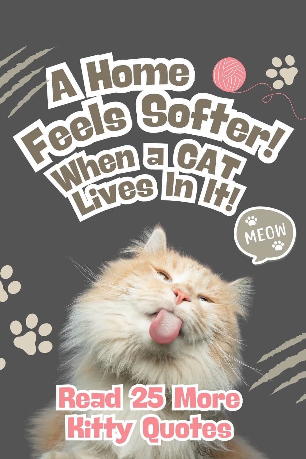 25 Cat Lover Quotes That Capture the Love, Chaos & Magic of Cats