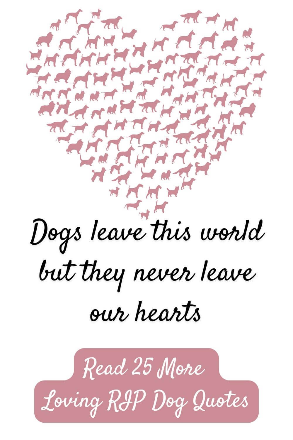 Thank You Quotes & The Art of Gratitude 2-4