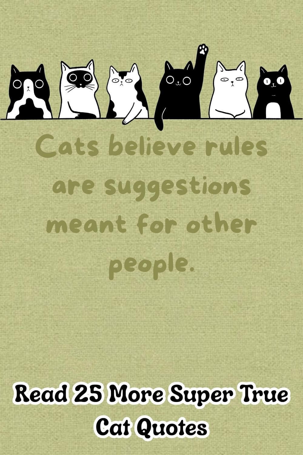 Thank You Quotes & The Art of Gratitude 2-4