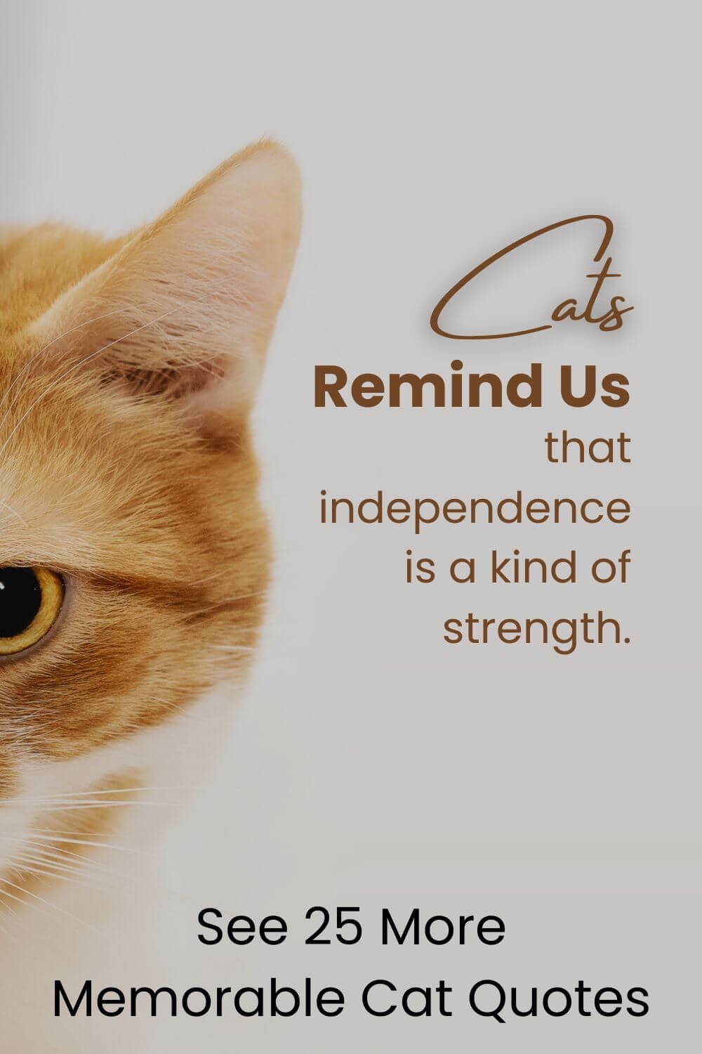 Thank You Quotes & The Art of Gratitude 2-4