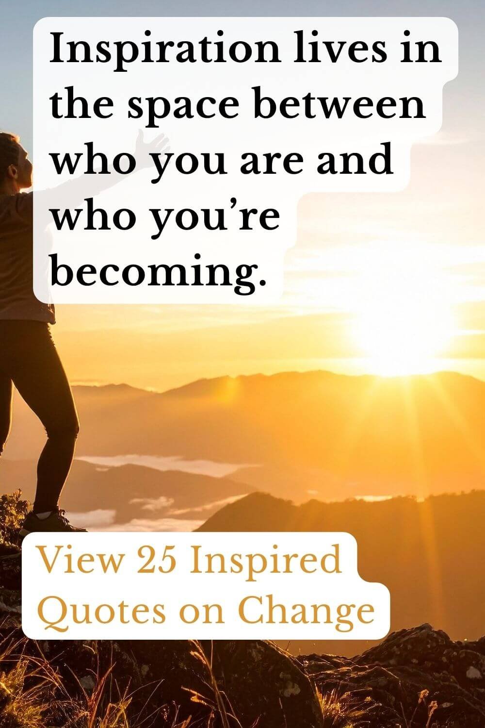 Thank You Quotes & The Art of Gratitude 2-4