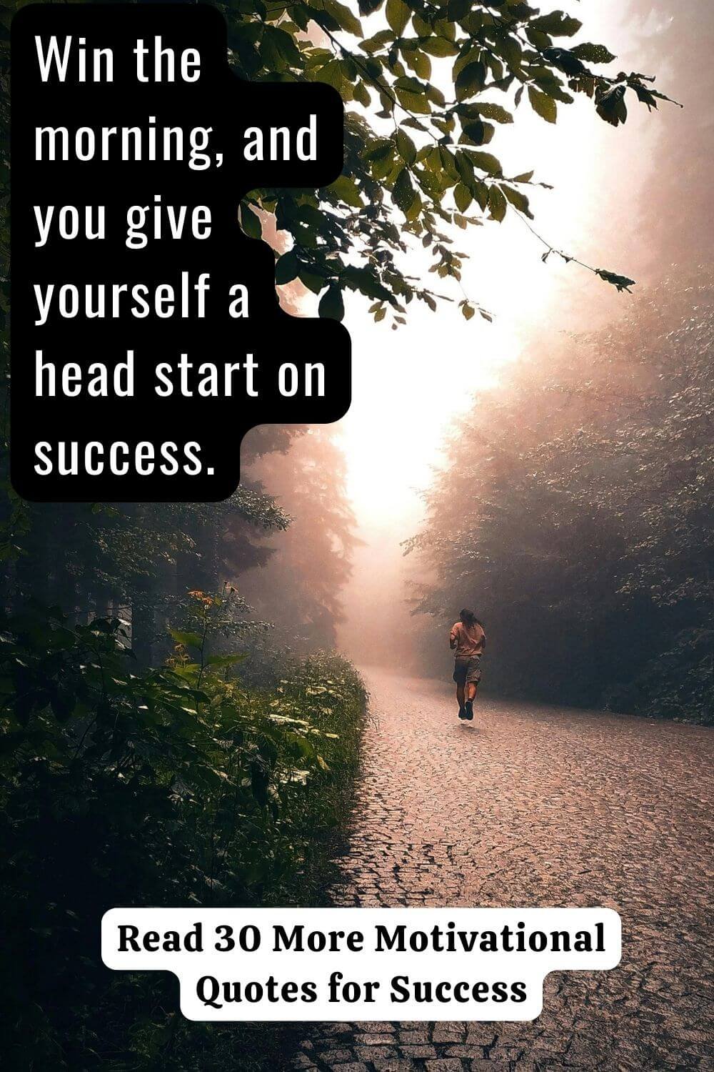 Thank You Quotes & The Art of Gratitude 2-4