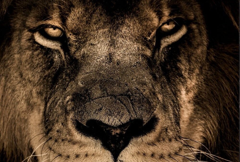 List of the Best Motivational Quotes for Success: Powerful, Positive Words to Define Your 2026