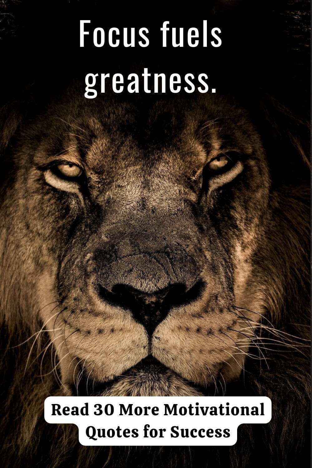 List of the Best Motivational Quotes for Success: Powerful, Positive Words to Define Your 2026