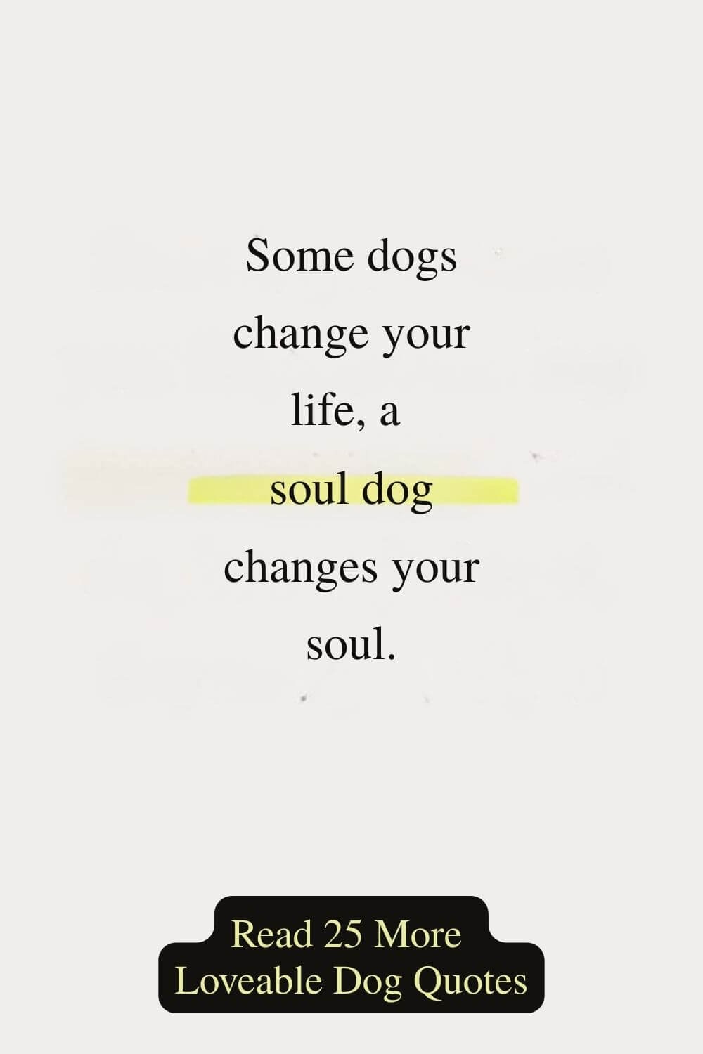 Thank You Quotes & The Art of Gratitude 2-4